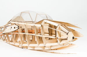 Mü13e Bergfalke – Image 4