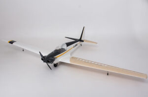 Fournier RF4D (ailes nervures)