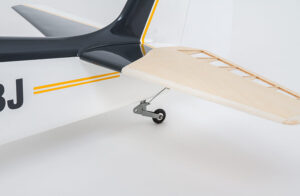 Fournier RF4D (ailes nervures) – Image 4