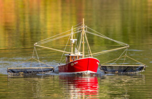 Bateau de pêche Jule – Image 5