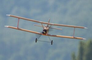 Udet Flamingo – Image 4